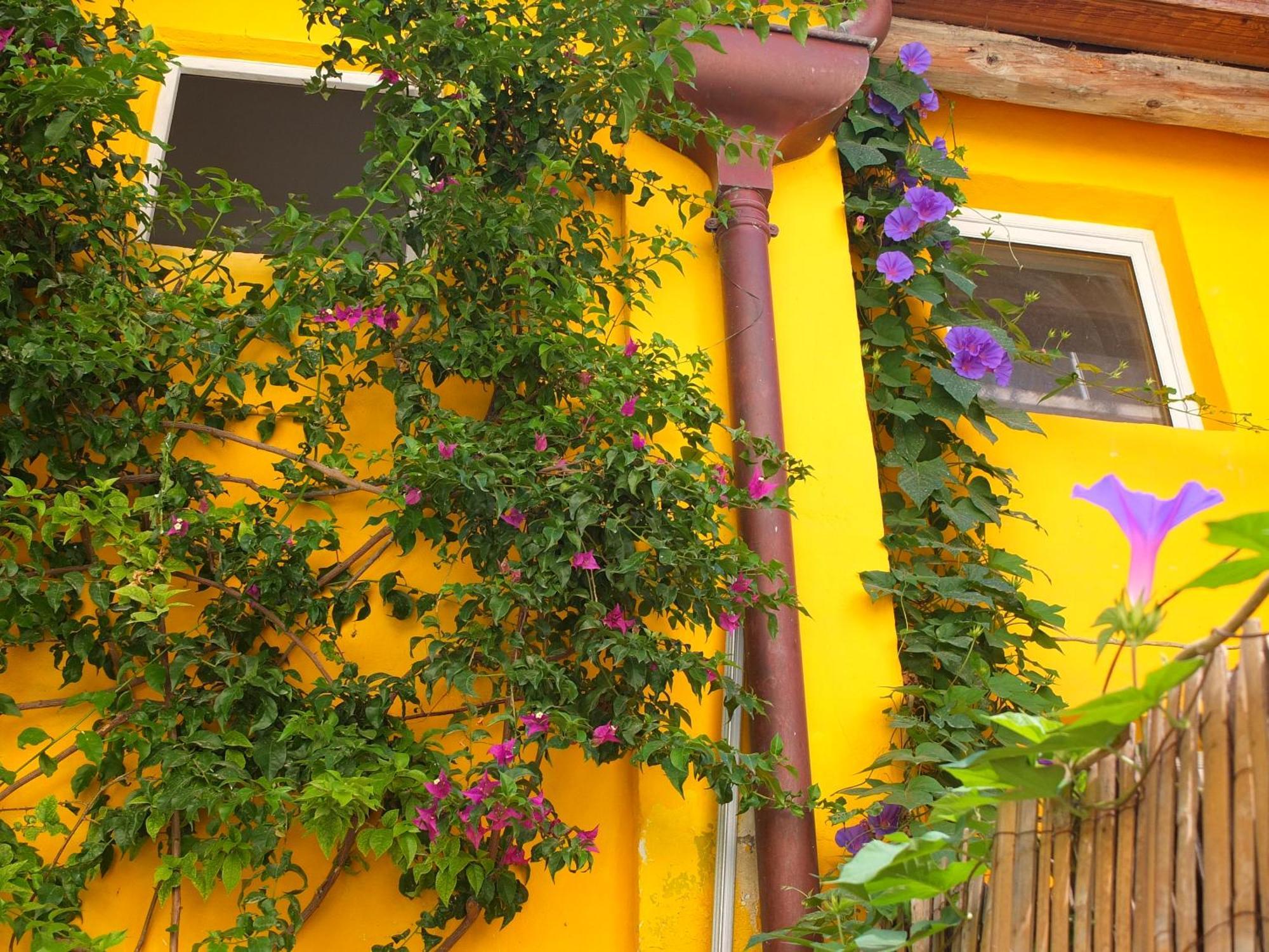 La Maison Jaune Σετ Δωμάτιο φωτογραφία